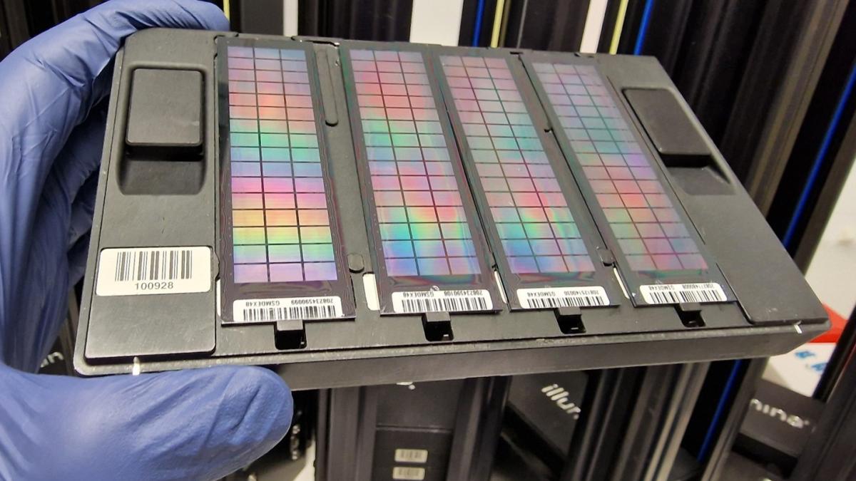 A picture of four Illumina genotyping arrays