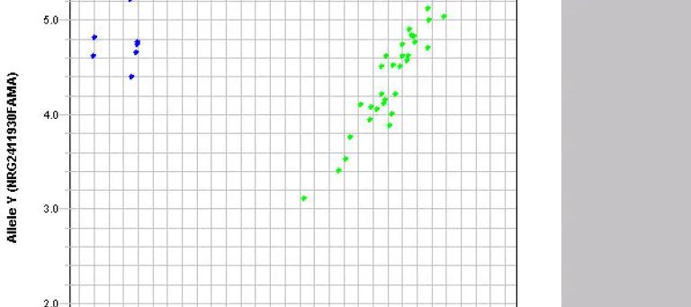 A picture showing genotyping clusters generated by the QuantStudio platform