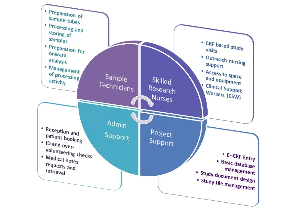 Nursing and Clinical Service Chart