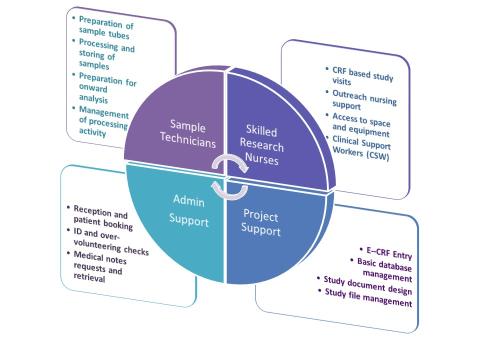 ECRF Nursing Clinical Service Chart Nursing and Clinical Service Chart